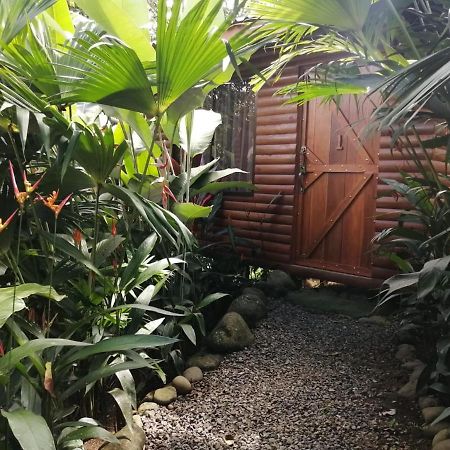 Arenal Rustic Lodge ألاخويلا المظهر الخارجي الصورة