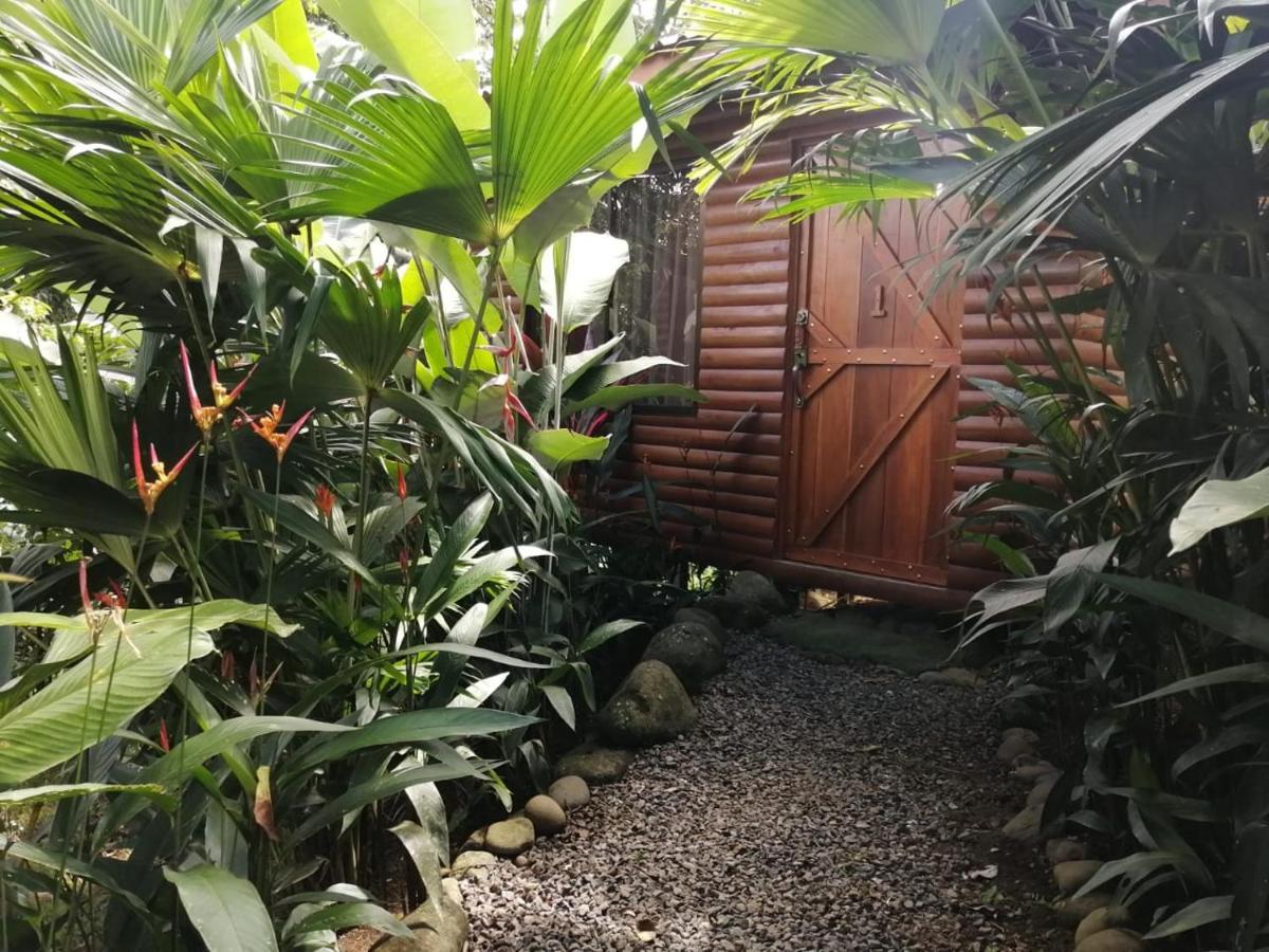 Arenal Rustic Lodge ألاخويلا المظهر الخارجي الصورة