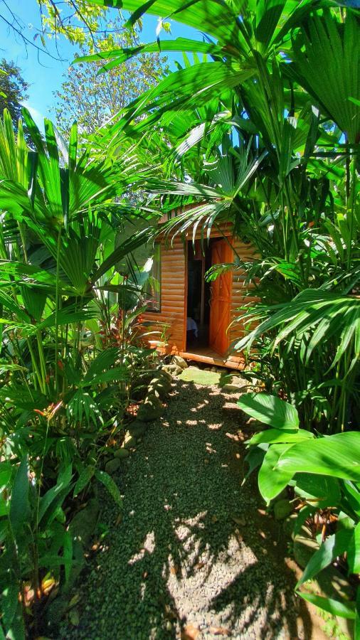 Arenal Rustic Lodge ألاخويلا المظهر الخارجي الصورة