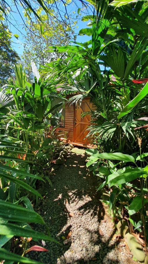Arenal Rustic Lodge ألاخويلا المظهر الخارجي الصورة
