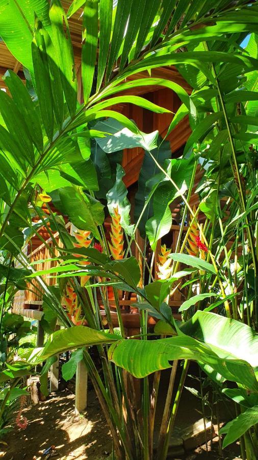 Arenal Rustic Lodge ألاخويلا المظهر الخارجي الصورة
