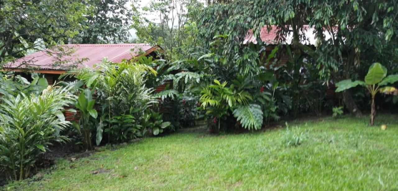 Arenal Rustic Lodge ألاخويلا المظهر الخارجي الصورة