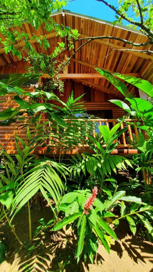 Arenal Rustic Lodge ألاخويلا المظهر الخارجي الصورة
