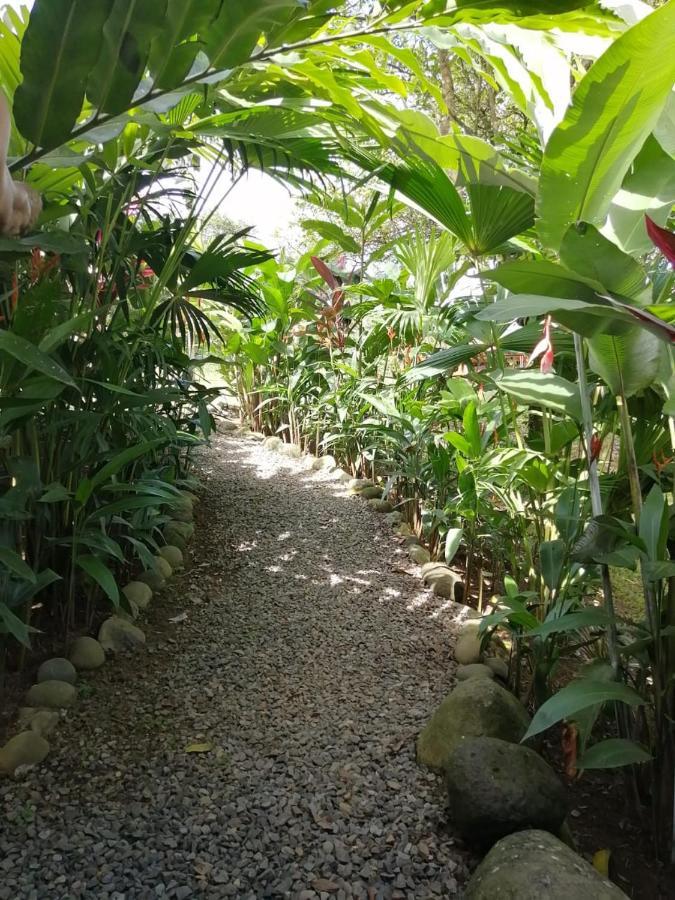 Arenal Rustic Lodge ألاخويلا المظهر الخارجي الصورة